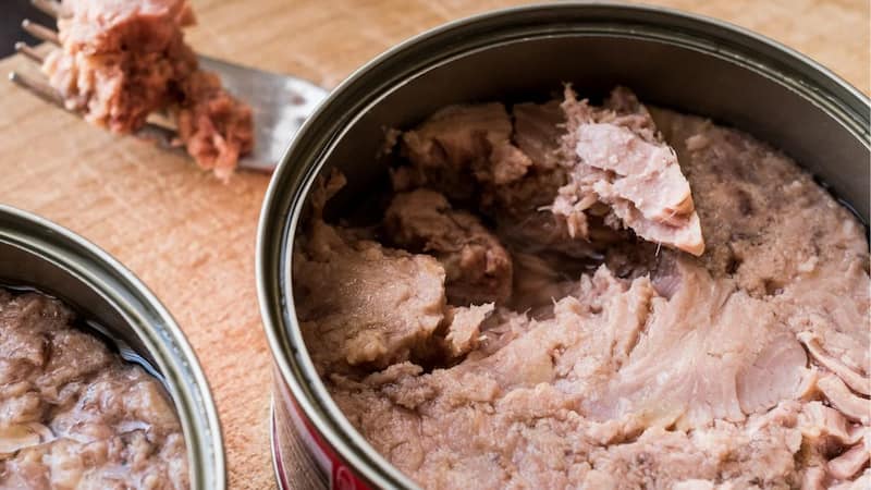 تصویر 4 از تن ماهی صدف چابهار تهیه شده از ماهی تازه